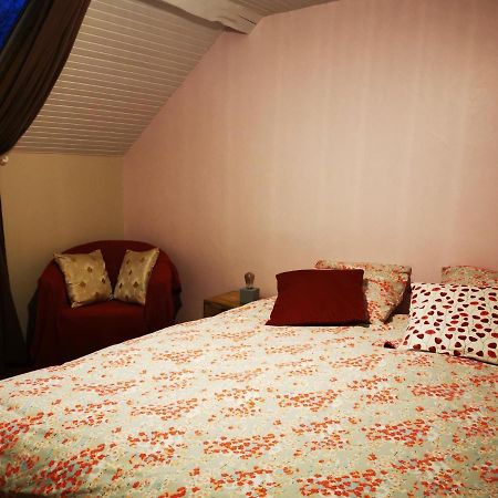 Bed and Breakfast Domaine De L'Esperance, Chambre Rose Bersaillin Экстерьер фото