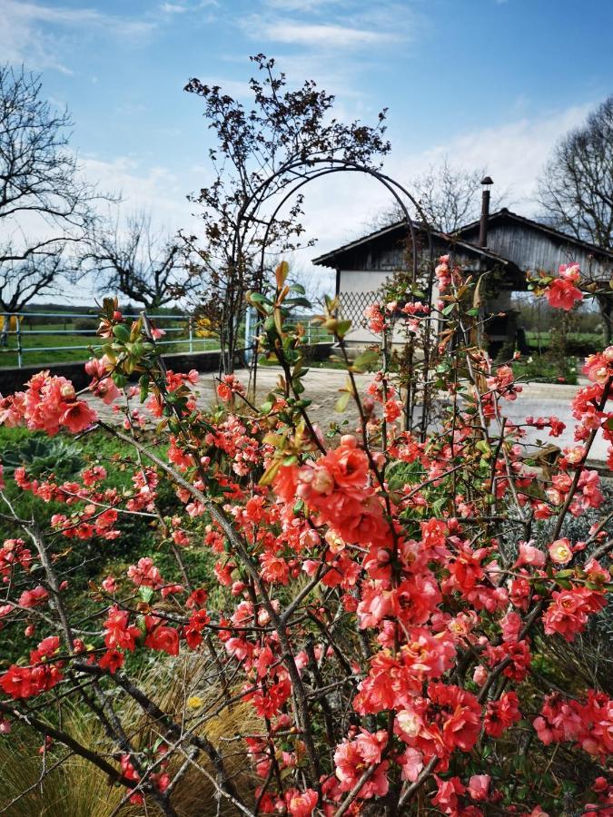 Bed and Breakfast Domaine De L'Esperance, Chambre Rose Bersaillin Экстерьер фото